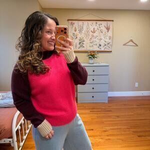 Ann Taylor Maroon Pink Sweater Medium